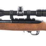 Ruger 10/22 .22 LR Semi Auto Rifle