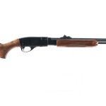 Remington 572 Fieldmaster .22 Pump Rifle