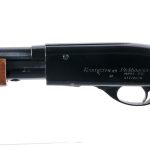 Remington 572 Fieldmaster .22 Pump Rifle