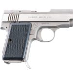 AMT Backup .380 ACP Semi-Auto Pistol