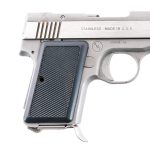 AMT Backup .380 ACP Semi-Auto Pistol