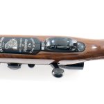Remington 700 .223 Rem Bolt Action Rifle