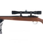 Ruger 77/22 .22 Hornet Bolt Action Rifle