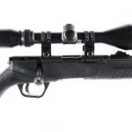 Savage B22 .22 LR Bolt Action Rifle