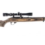 Ruger 10/22 .22 LR Semi Auto Rifle