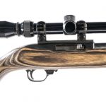 Ruger 10/22 .22 LR Semi Auto Rifle