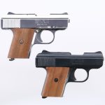 Raven Arms MP25 .25 2Pcs Lot Semi Auto Pistol