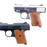 Raven Arms MP25 .25 2Pcs Lot Semi Auto Pistol