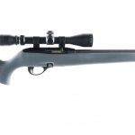 Remington 597 .22 Long Rifle semi auto rifle