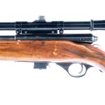 Mossberg 142-A .22 S LR Semi Auto Rifle