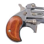 Davis DM-22 .22 Long Rifle Derringer Pistol