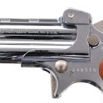Davis DM-22 .22 Long Rifle Derringer Pistol