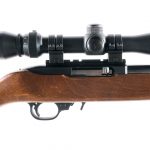 Ruger 10/22 Carbine .22 LR Semi Auto Rifle