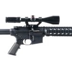 Smith & Wesson M&P 15-22 .22 LR Semi Auto Rifle