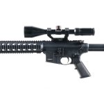 Smith & Wesson M&P 15-22 .22 LR Semi Auto Rifle