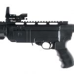 Ruger 10/22 .22 LR Semi Auto Rifle