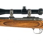 Ruger All Weather 77/22 .22LR Bolt Action Rifle