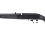Ruger 10/22 .22 LR Semi Auto Rifle
