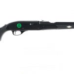 CBC Nylon 66 .22 LR Semi Auto Rifle