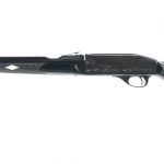 CBC Nylon 66 .22 LR Semi Auto Rifle