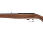 Ruger 10/22 .22 LR Semi Auto Rifle