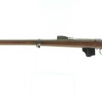 Dutch Beaumont VITALI M1871/88 11.3x50mmR Rifle