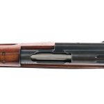 Schmidt Reuben K11 7.5mm Swiss Rifle