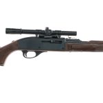 Remington Nylon 66 .22 LR Semi Auto Rifle