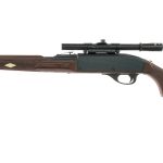 Remington Nylon 66 .22 LR Semi Auto Rifle