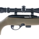 Remington 597 .22 LR Semi-Auto Rifle