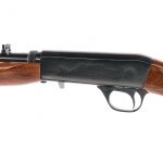 Norinco 22ATD .22LR Semi-Auto Rifle