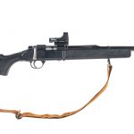 Daisy 2202 .22 LR Bolt Action Rifle