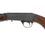 Norinco 22-ADT .22 LR Semi Auto Rifle