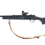 Daisy 2202 .22 LR Bolt Action Rifle