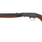 Norinco 22-ADT .22 LR Semi Auto Rifle