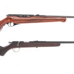 Remington/Mossberg .22 Rifle Lot 2Pcs
