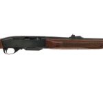 Remington 760 Gamemaster .30-06 Semi Auto Rifle