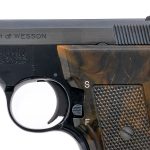 S&W 61-3 .22 LR Semi-Auto Pistol