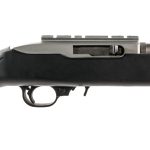 Ruger 10/22 Takedown .22 LR Semi Auto Pistol