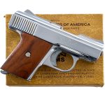 Raven Arms MP-25 .25 Semi-Auto Pistol