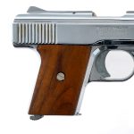 Raven Arms MP-25 .25 Semi-Auto Pistol