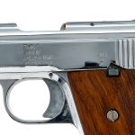 Raven Arms MP-25 .25 Semi-Auto Pistol