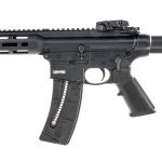 S&W M&P 15-22 .22LR Semi Auto Rifle