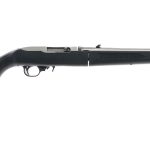 Ruger 10/22 Takedown .22 LR Semi-Auto Rifle