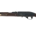 Remington Nylon 66 .22 LR Semi Auto Rifle