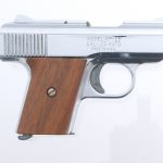 Raven Arms MP-25 .25 Semi Auto Pistol