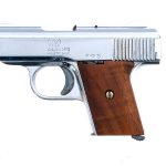 Raven Arms MP-25 .25 Semi Auto Pistol