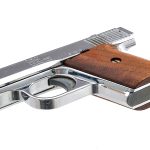 Raven Arms MP-25 .25 Semi Auto Pistol