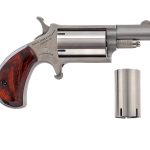 NAA Companion .22 Percussion Revolver