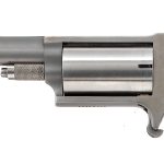 NAA Companion .22 Percussion Revolver